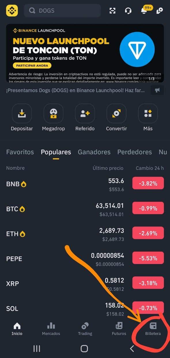 Cómo puedo saber cuál es mi wallet en la App de BINANCE